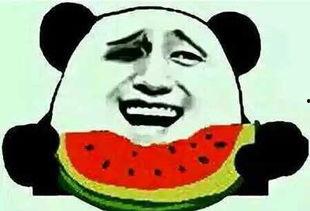 娱乐圈圈吃瓜群众叫什么